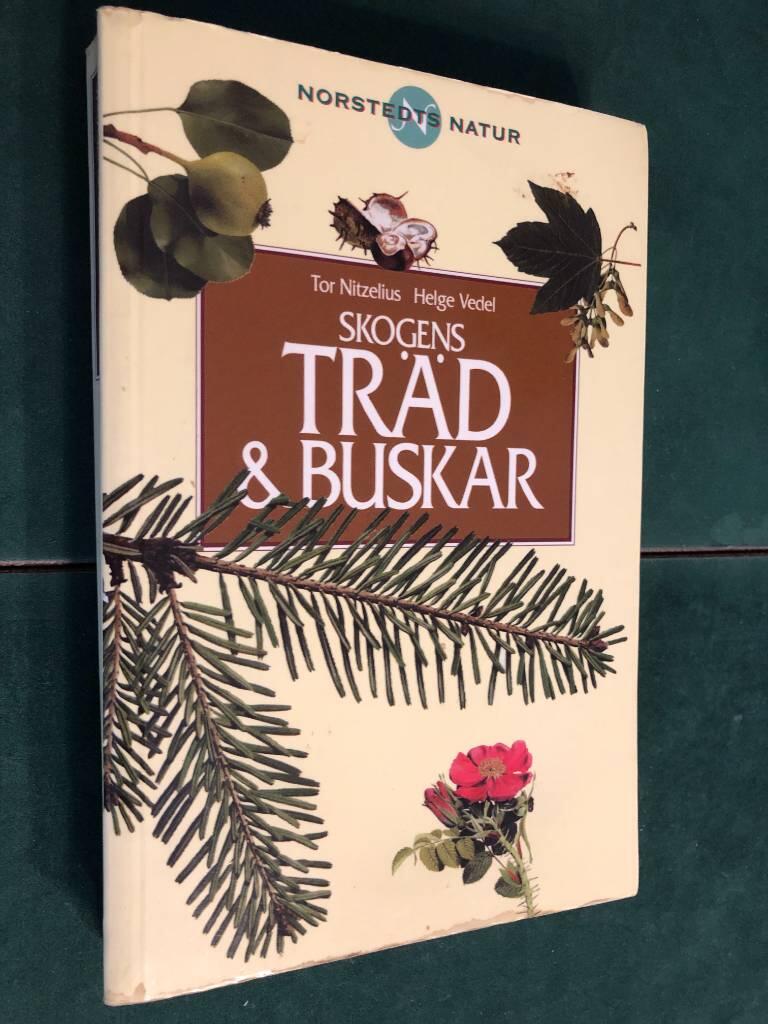 Skogens träd och buskar