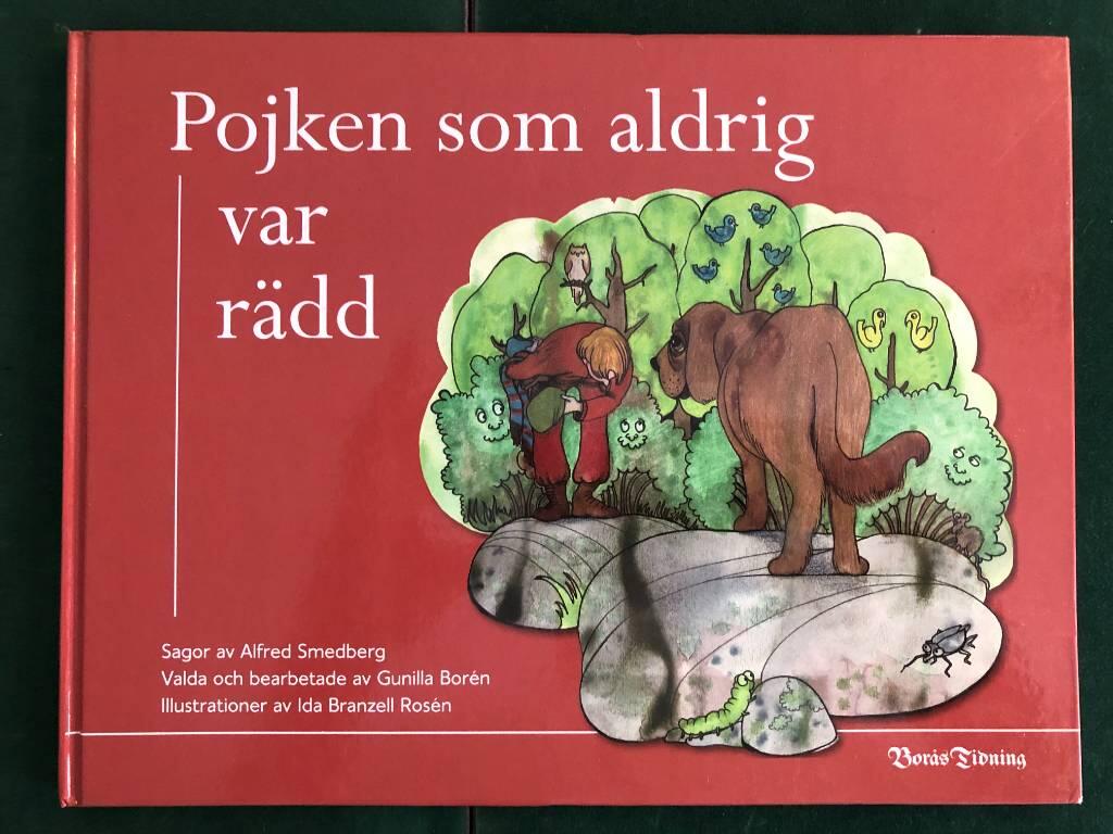 Pojken som aldrig var r&auml;dd : sagor