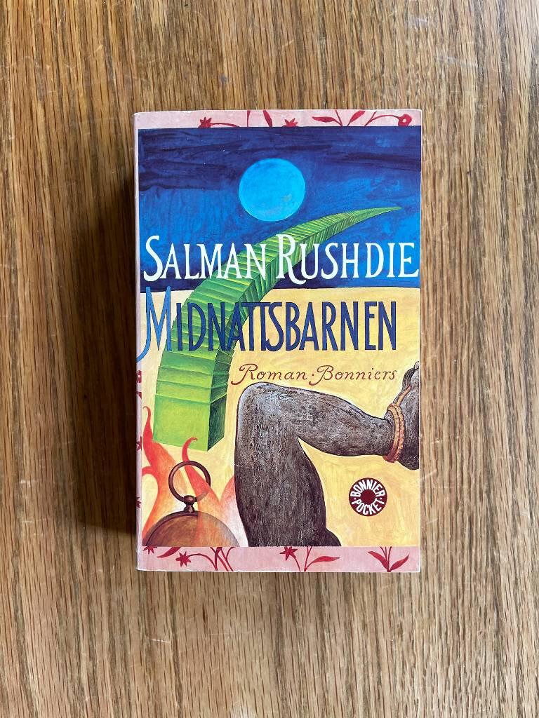 Midnattsbarnen : [roman]