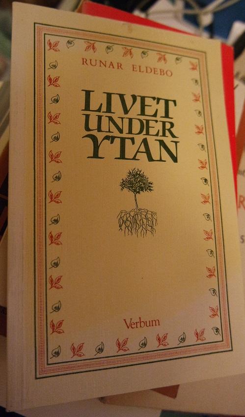 Livet under ytan : om livsh&aring;llning och andlig mognad