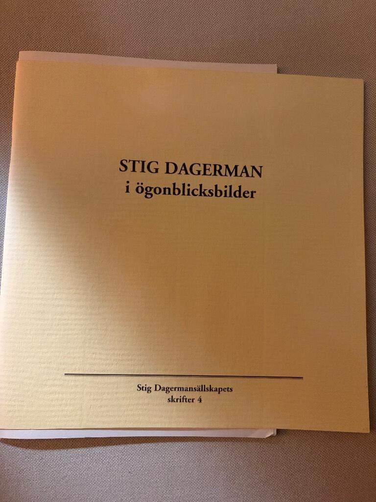 Stig Dagerman i &ouml;gonblicksbilder : [trettionio texter och ett foto ur familjealbumet]