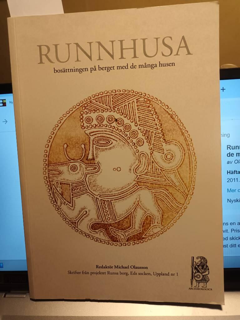 Runnhusa : bosättningen på berget med de många husen