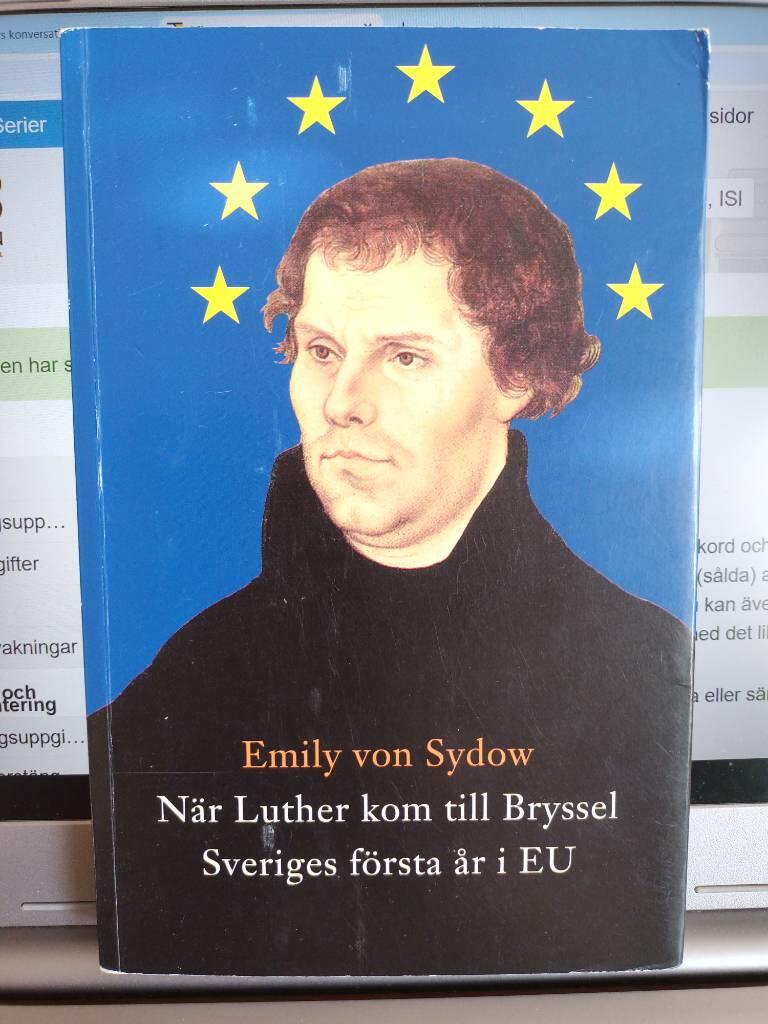 N&auml;r Luther kom till Bryssel : Sveriges f&ouml;rsta &aring;r i EU
