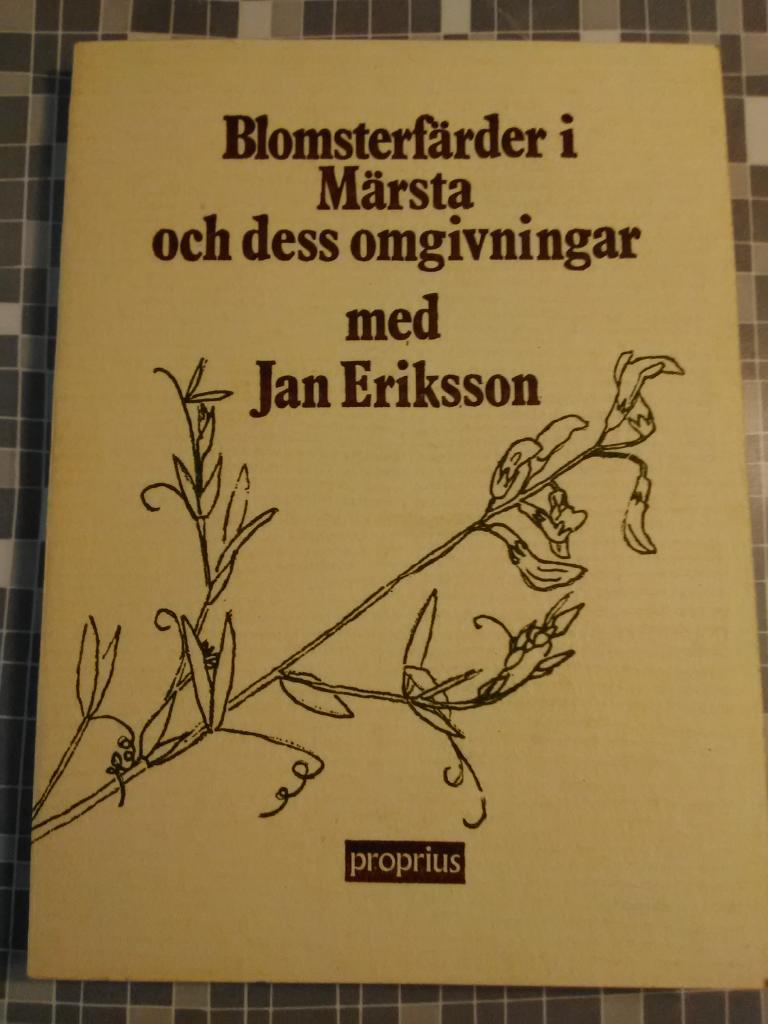 Blomsterf&auml;rder i M&auml;rsta och dess omgivningar