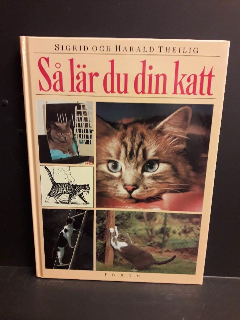 S&aring; l&auml;r du din katt