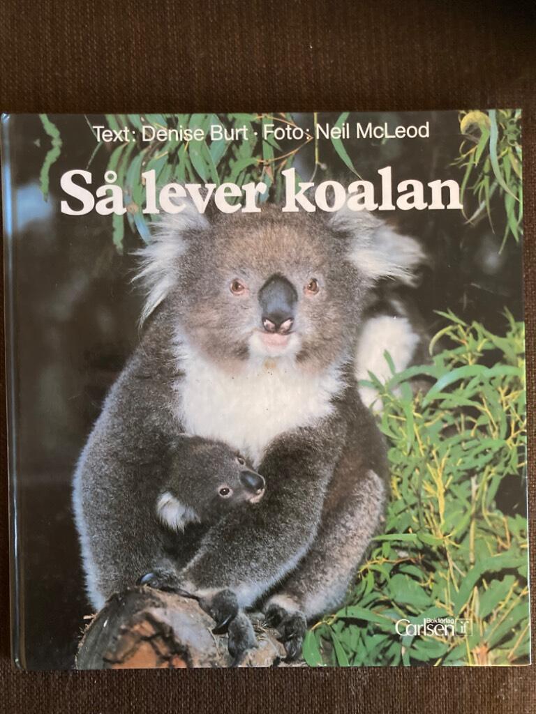 S&aring; lever koalan