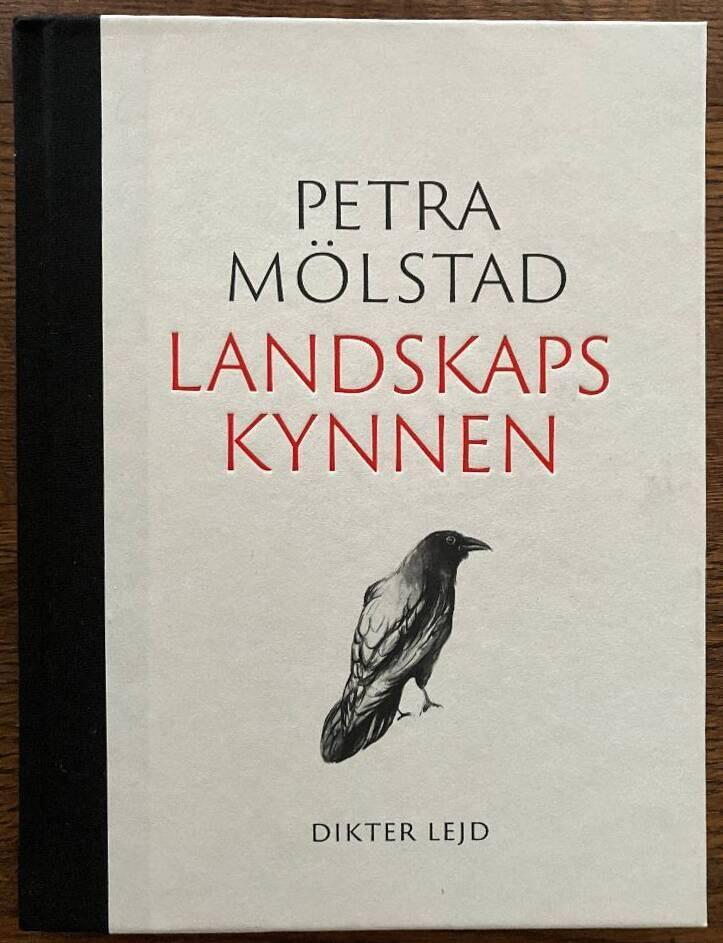 Landskapskynnen - dikt