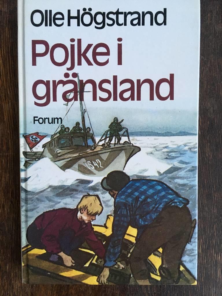 Pojke i gr&auml;nsland