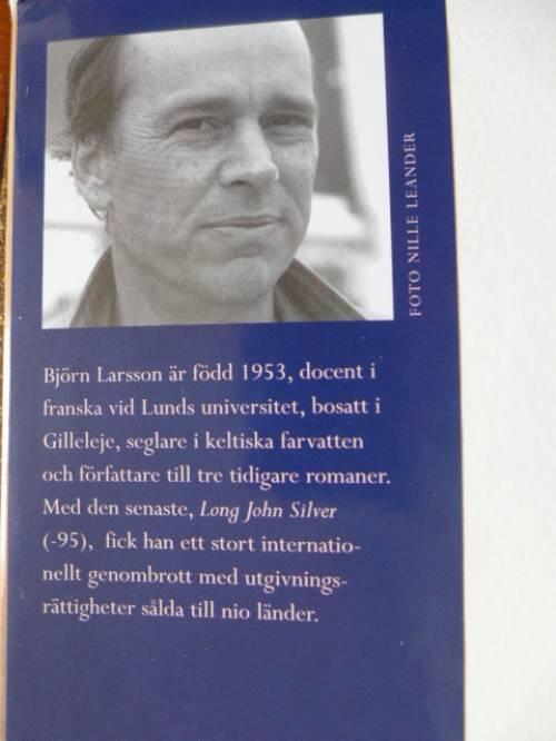 Dr&ouml;mmar vid havet : roman