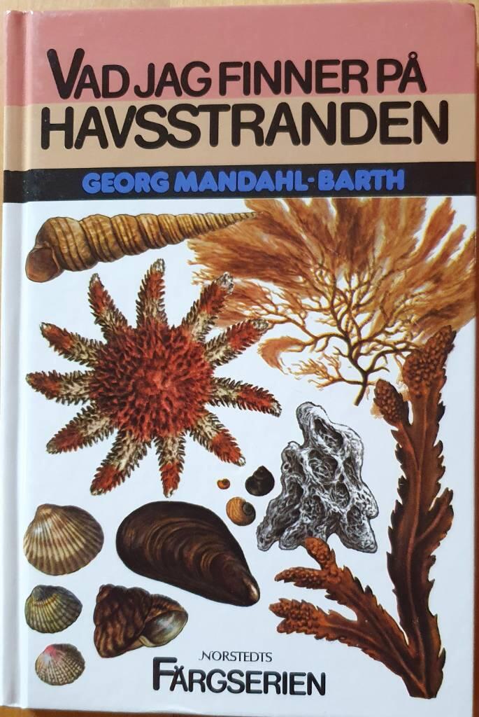 Vad jag finner p&aring; havsstranden