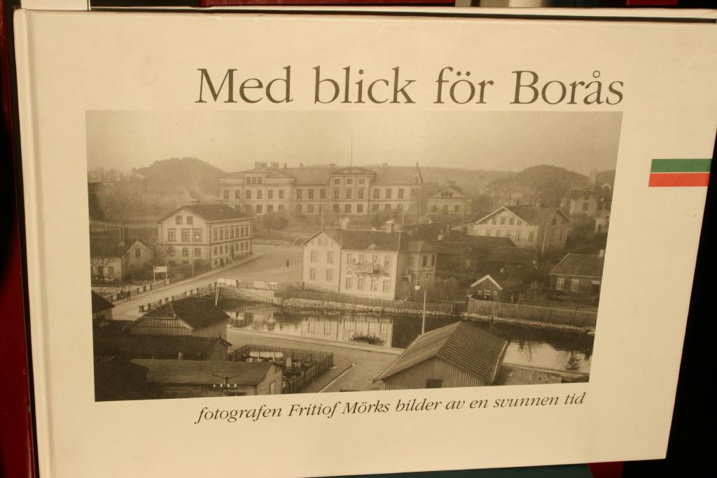Med blick f&ouml;r Bor&aring;s - fotografen Fritiof M&ouml;rks bilder av en svunnen tid