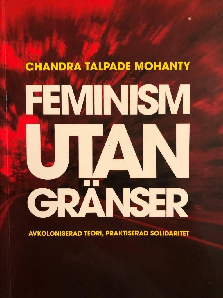 Feminism utan gr&auml;nser : avkoloniserad teori, praktiserad solidaritet
