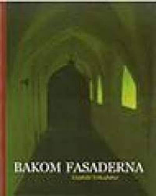 Bakom fasaderna - byggnadsarkeologiska s&auml;tt att f&aring;nga tid, rum och bruk