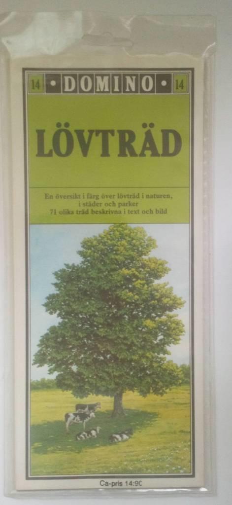 Domino : en &ouml;versikt i f&auml;rg