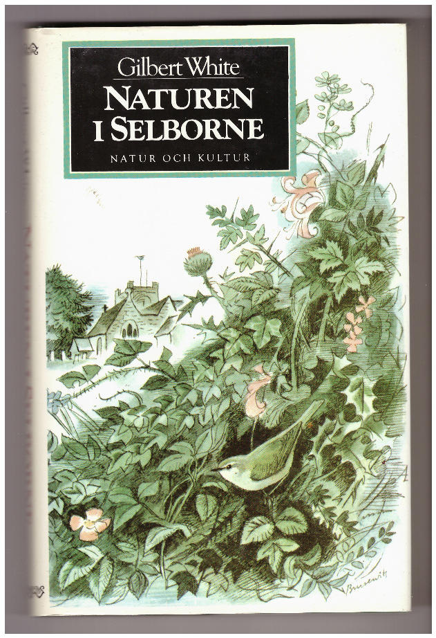 White/Naturen i selborne