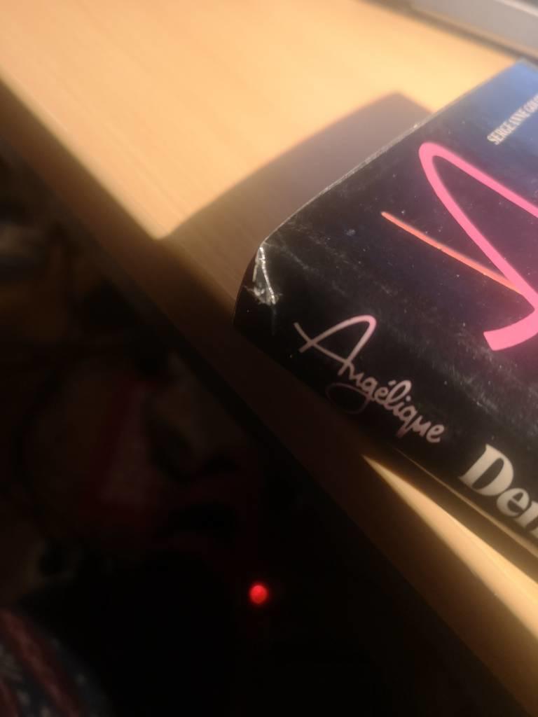 Ang&eacute;lique