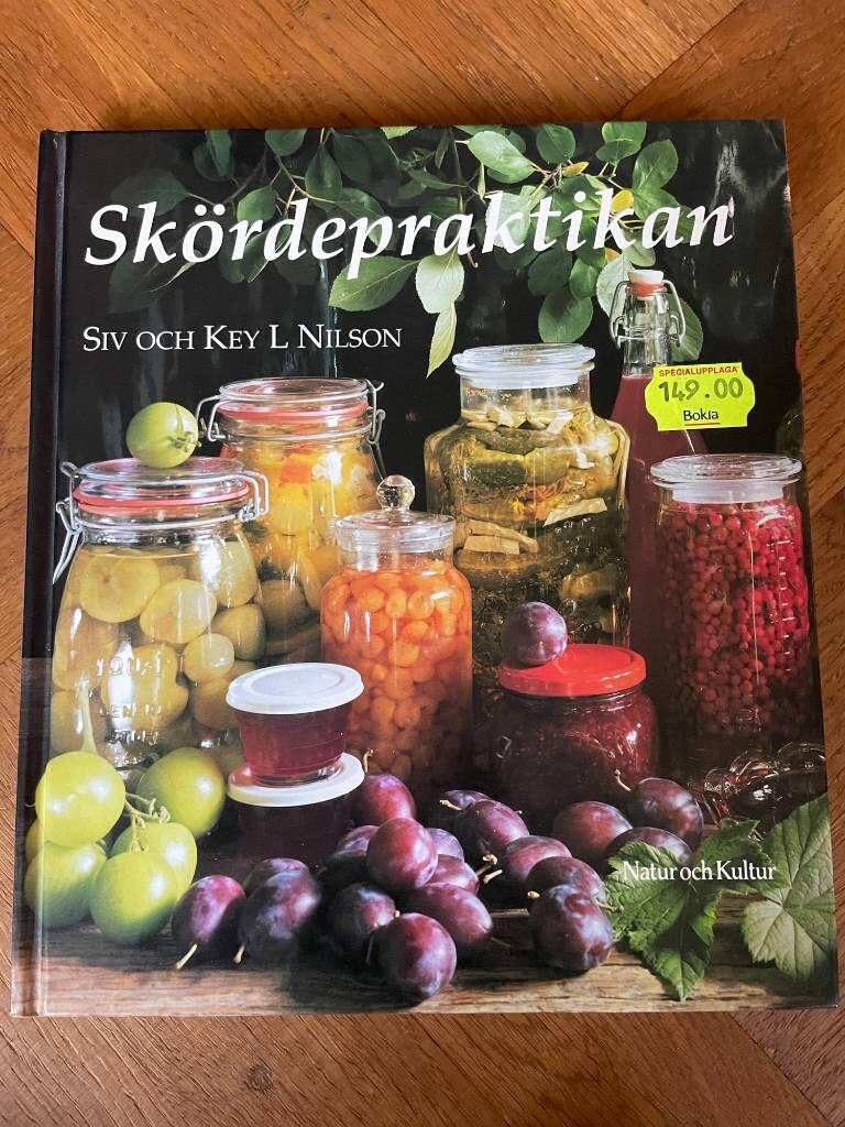 Nilson-Key/Sk&ouml;rdepraktikan