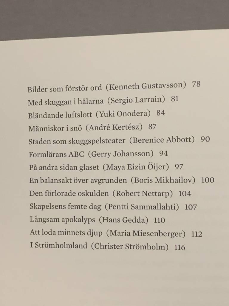 Drömmen om verkligheten : fotografiska reflektioner
