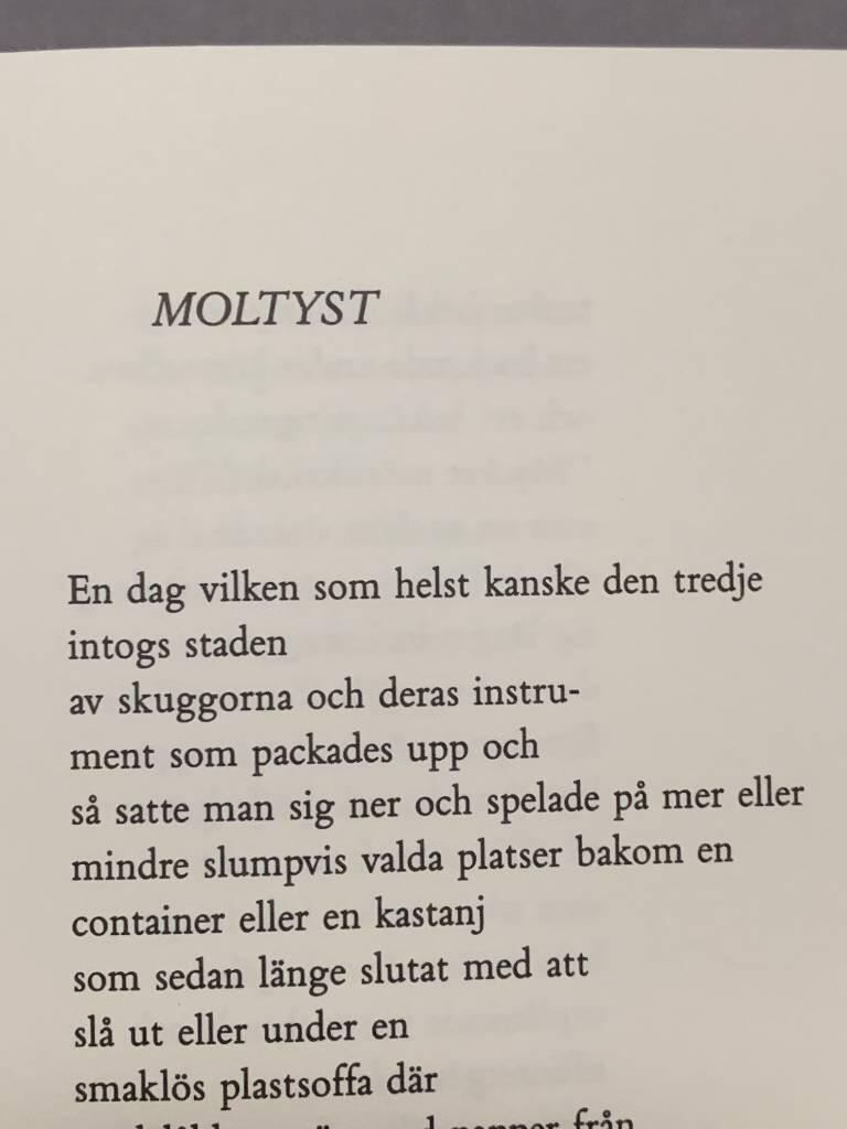 Stadens tveljus : dikter