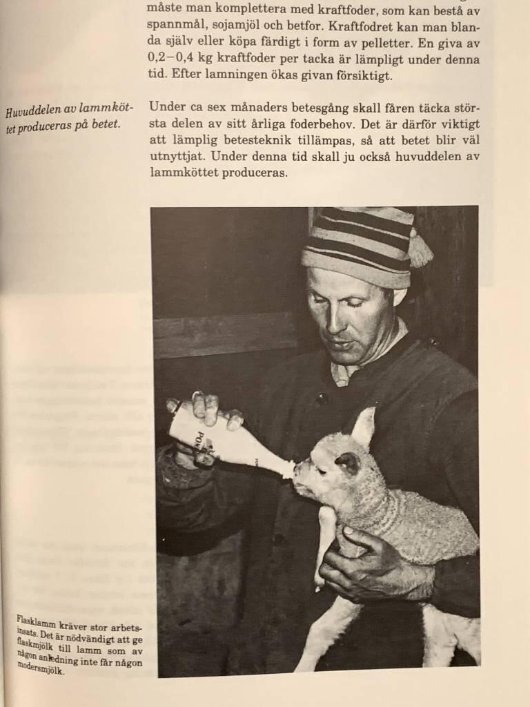 Lantbrukets ABC : jordbruk, skogsbruk, tr&auml;dg&aring;rd