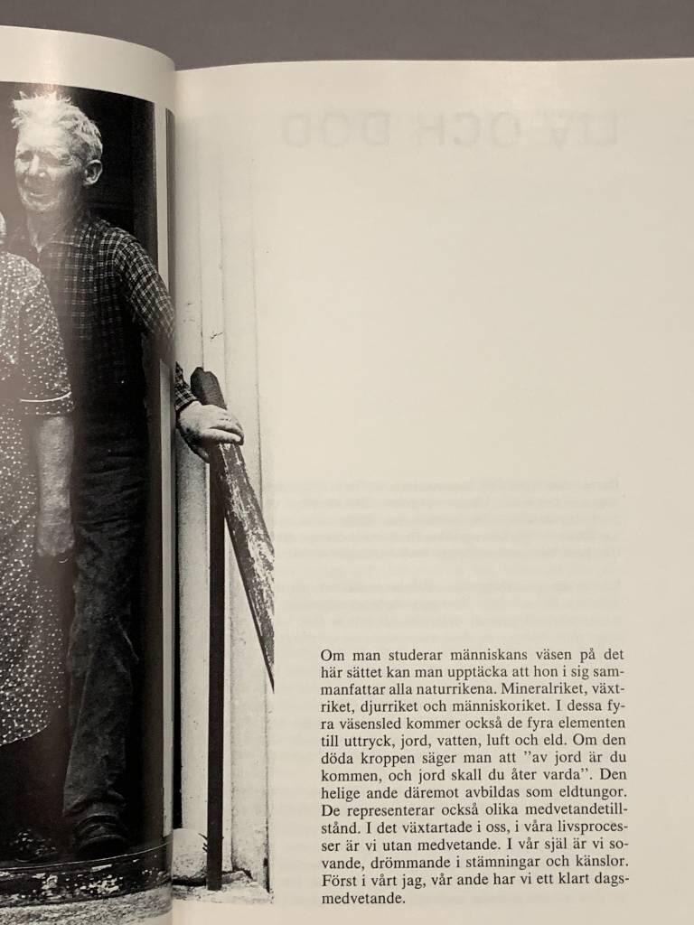 Dynamiken i det levande