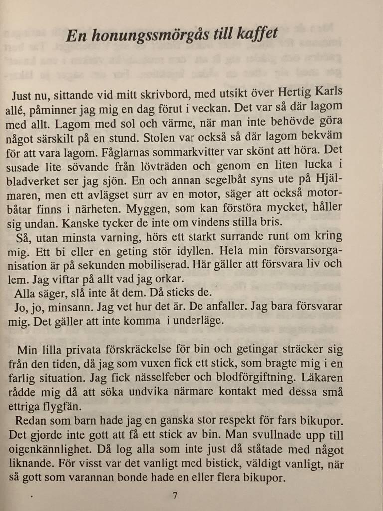 Funderingar från mitt fönster