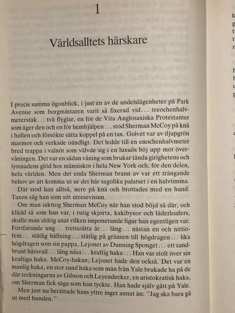 Fåfängans fyrverkeri : [roman]