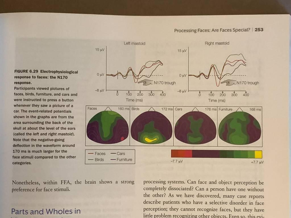 Cognitive neuroscience - the biology of the mind