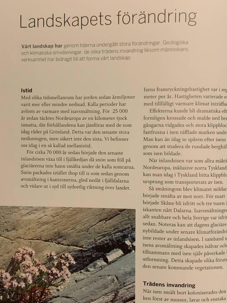 Grundbok f&ouml;r skogsbrukare : fakta om skog och skogsbruk