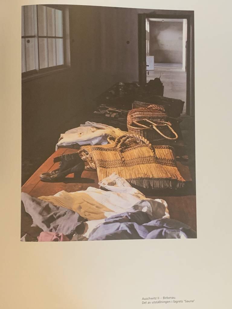 Auschwitz - en d&ouml;dens boning