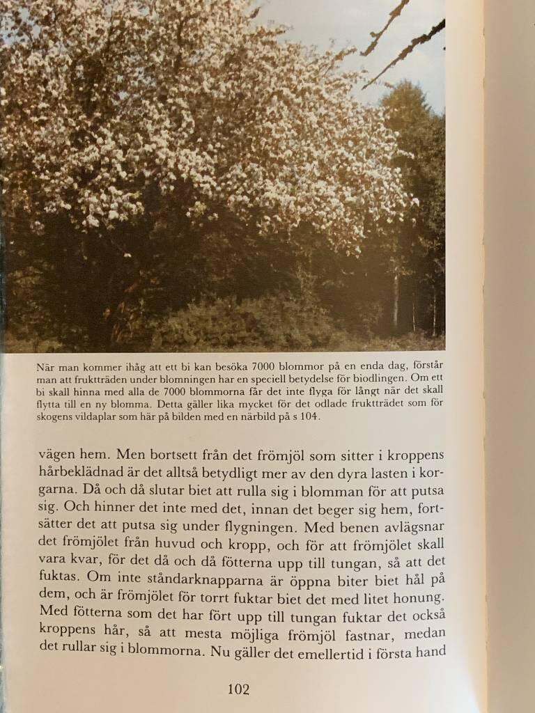 Ett &aring;r i big&aring;rden