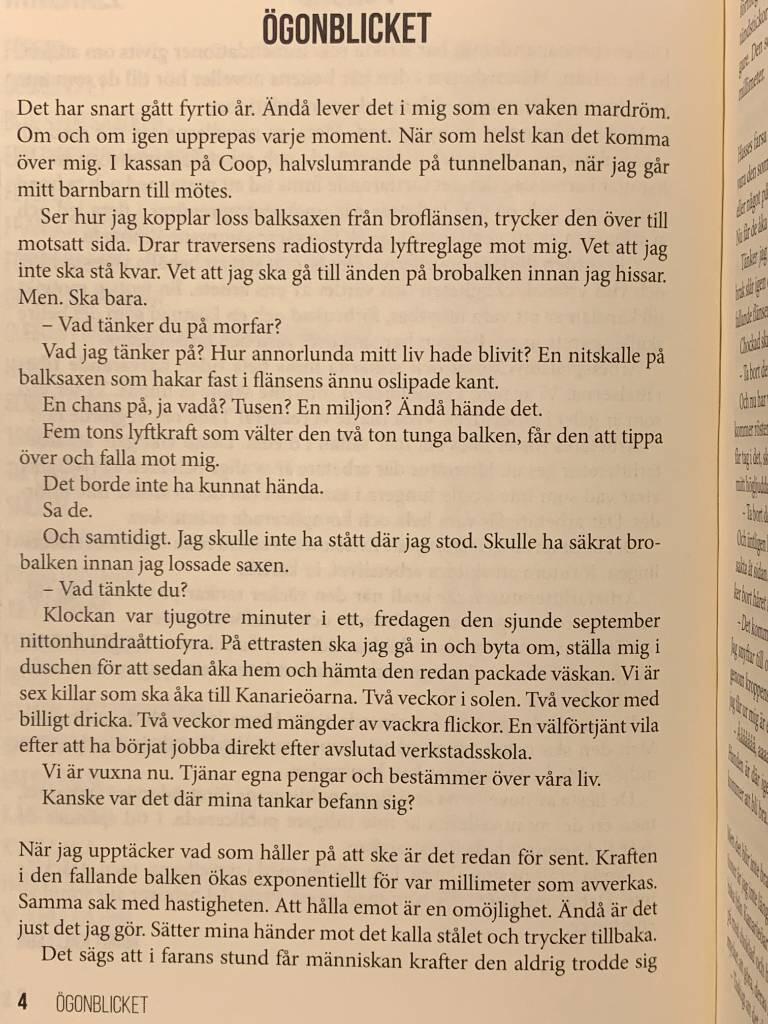 &Ouml;gonblicket och andra noveller