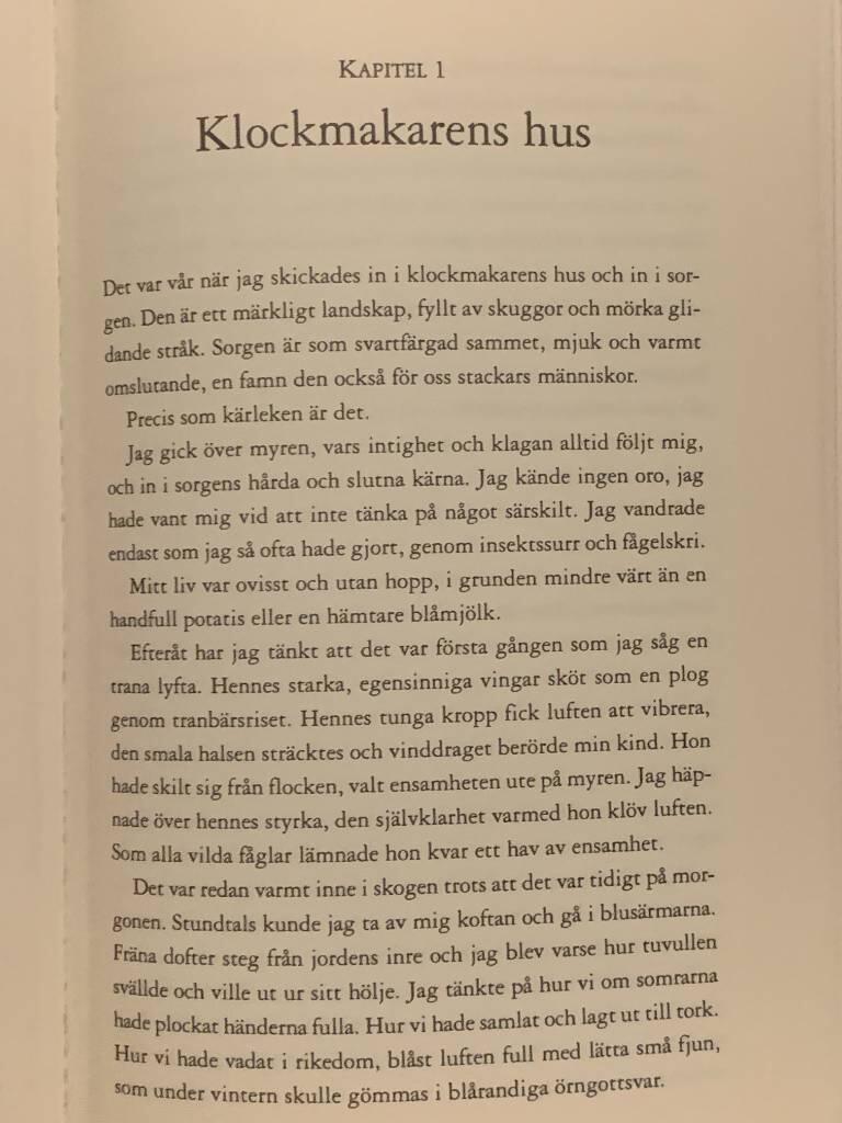 Genom tidens handflata : roman