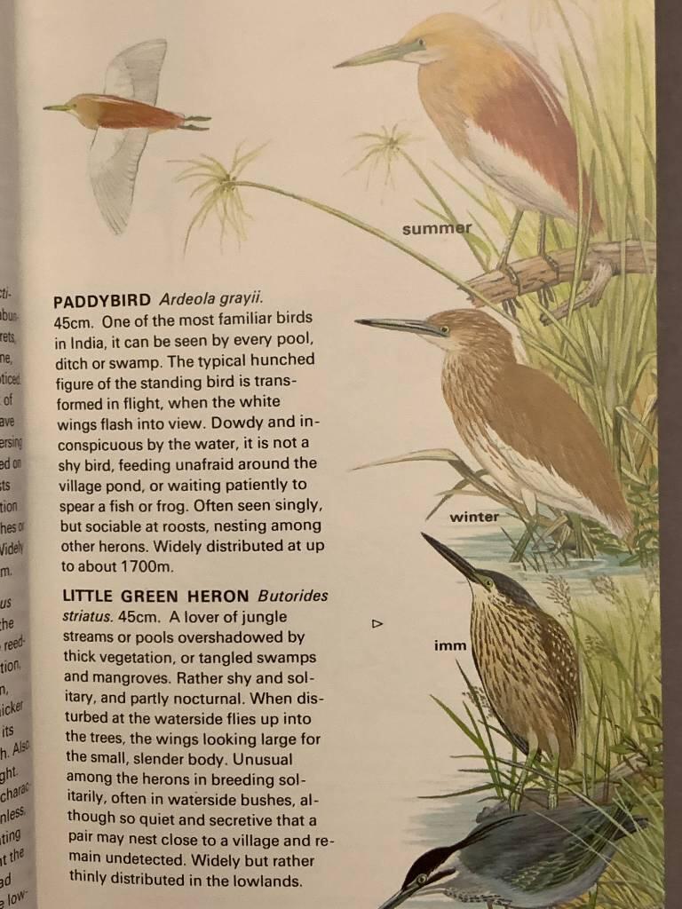 Collins handguide to the birds of the Indian sub-continent : including India, Pakistan, Bangladesh, Sri Lanka, and Nepal