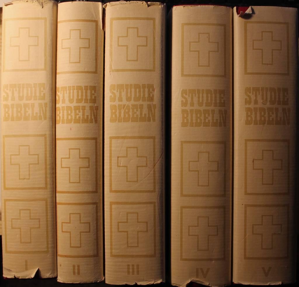 Studiebibeln : Nya testamentet