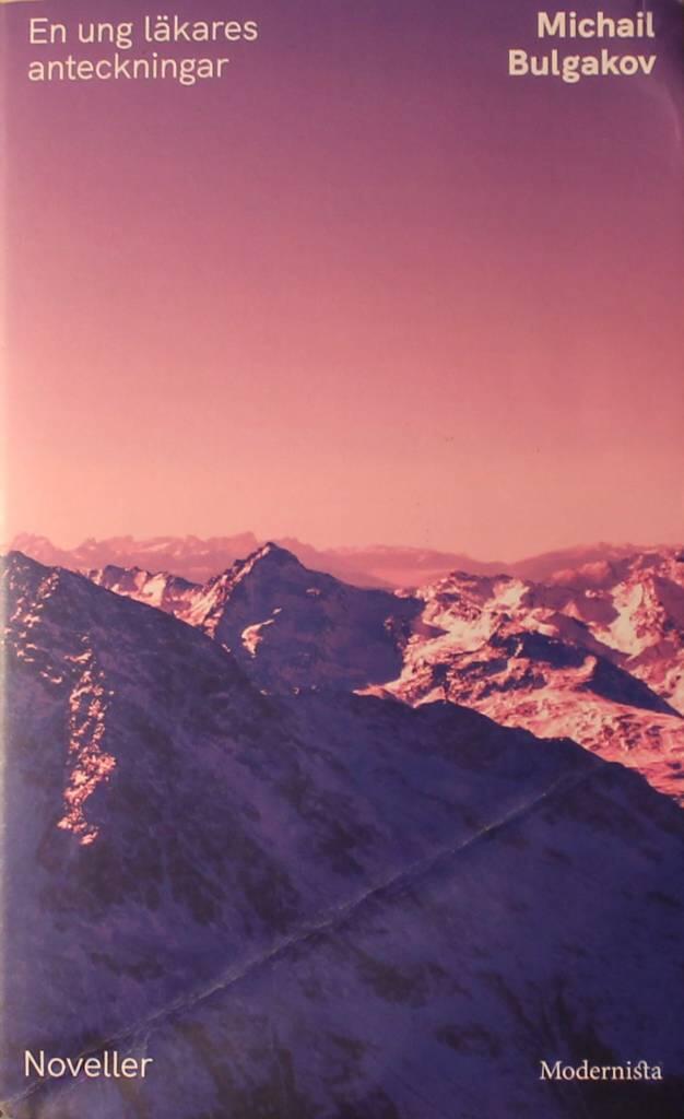 En ung l&auml;kares anteckningar