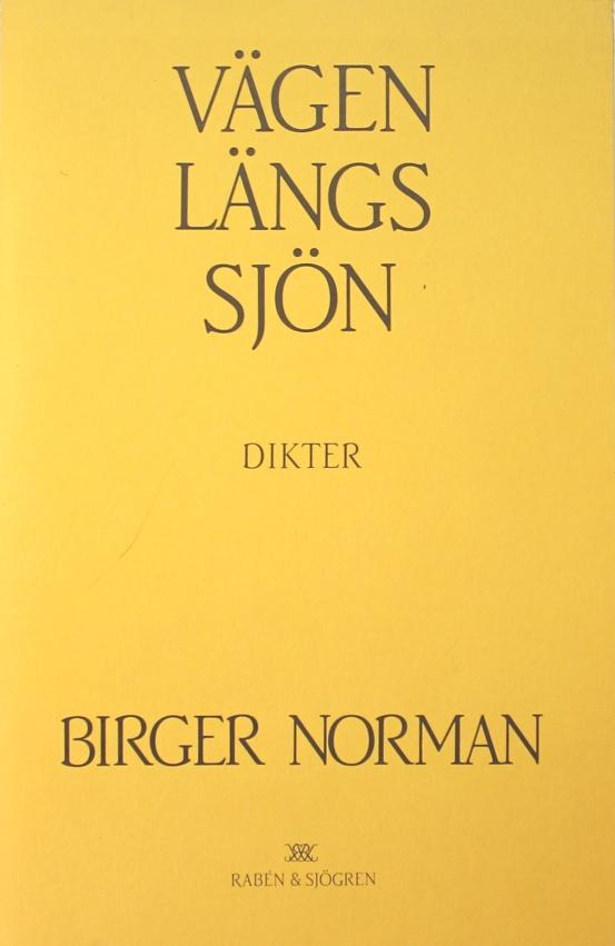 V&auml;gen l&auml;ngs sj&ouml;n