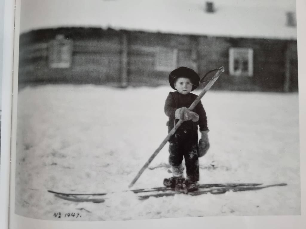 Drömmen om fjällen : berättelser om en tid då allt blev annorlunda