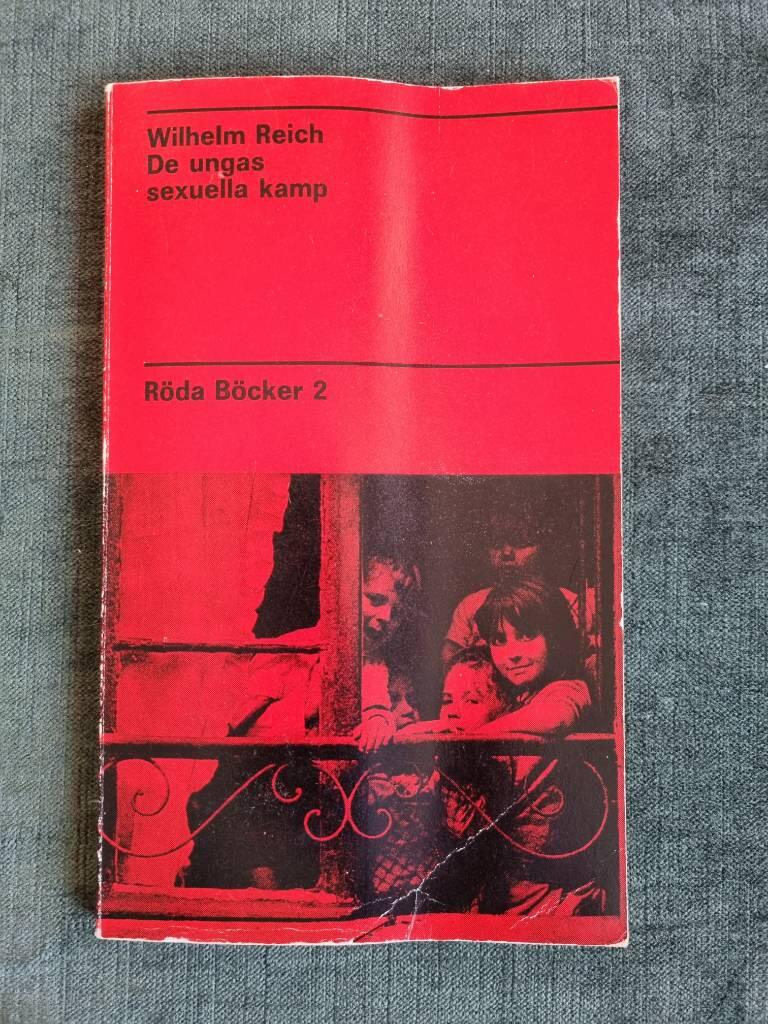 De ungas sexuella kamp