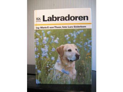 Labradoren