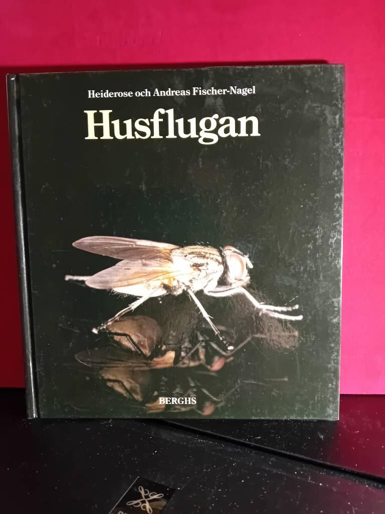 Husflugan