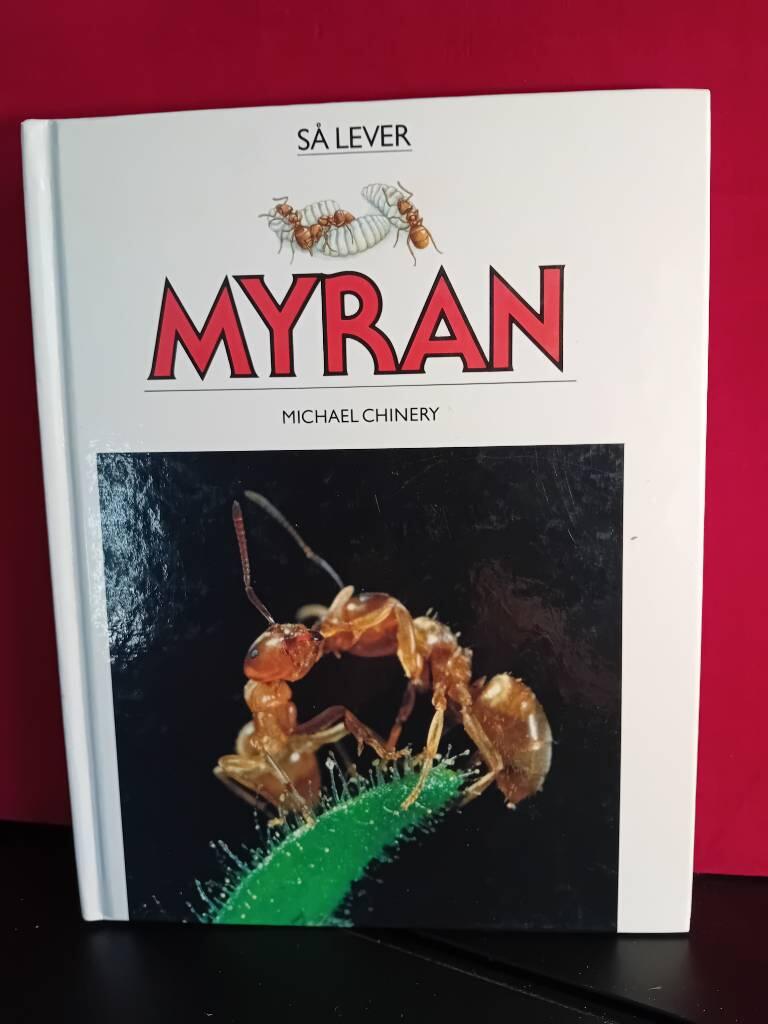 Så lever myran