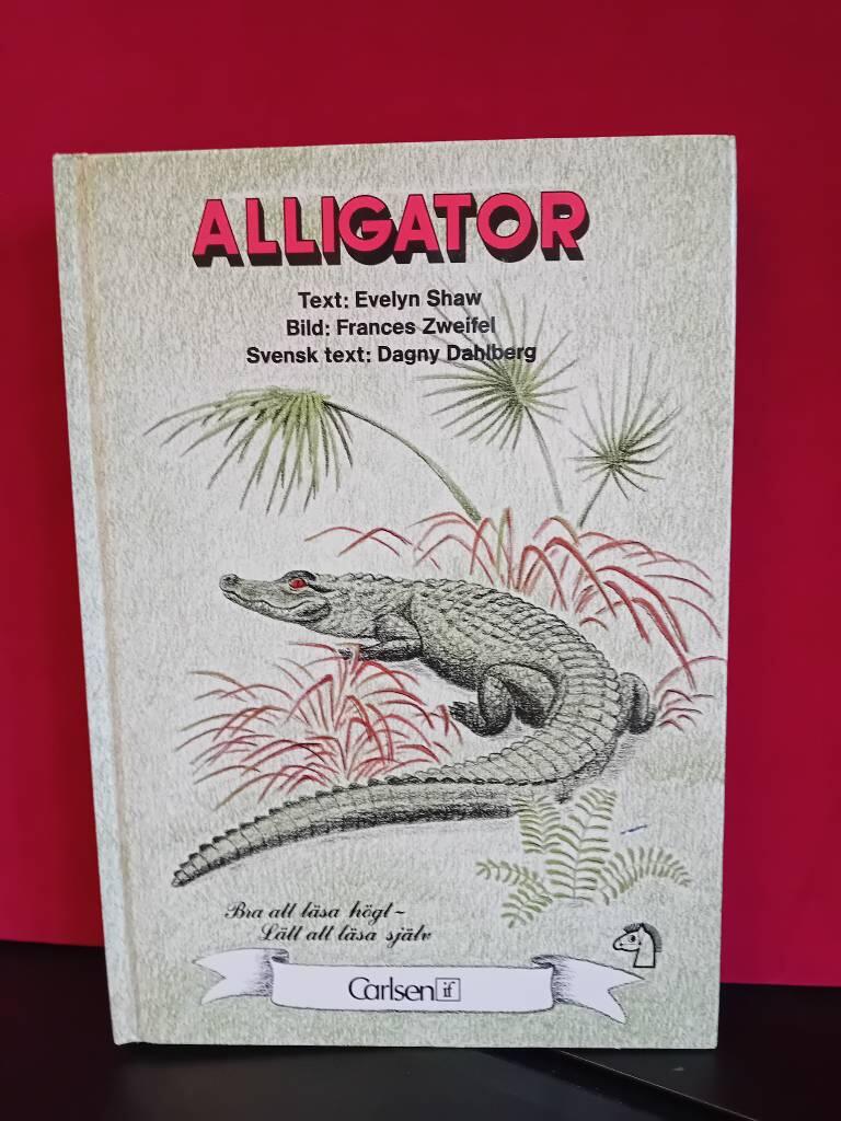 Alligator