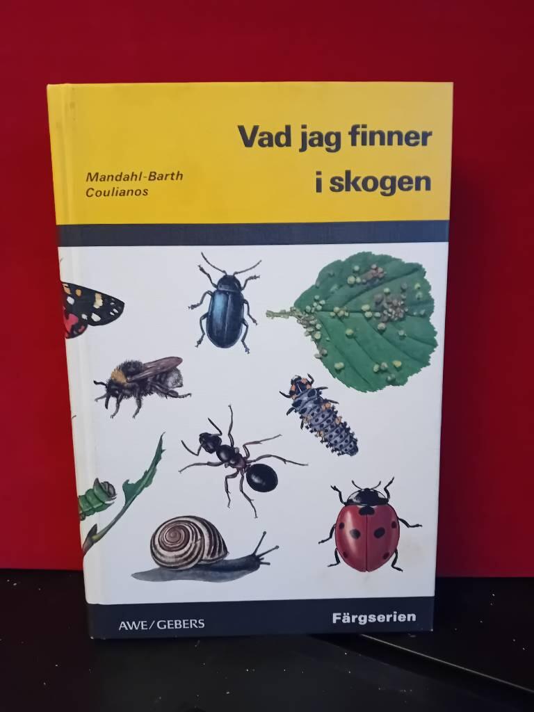 Vad jag finner i skogen
