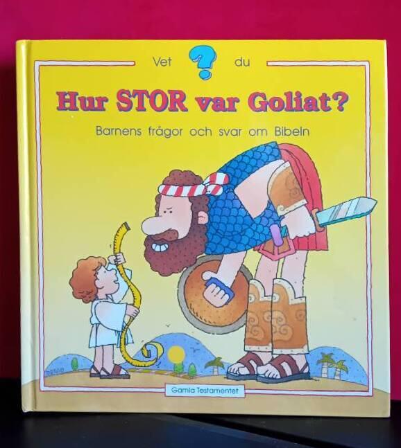 Hur stor var Goliat? : barnens fr&aring;gor och svar om Bibeln : [Gamla testamentet]