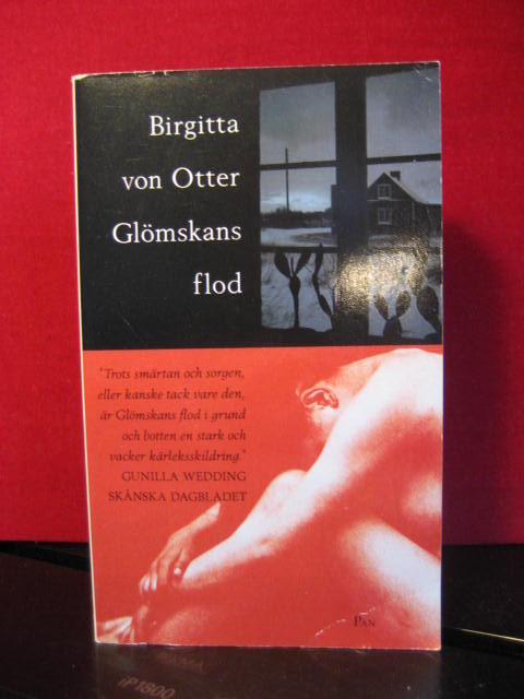 Gl&ouml;mskans flod : roman