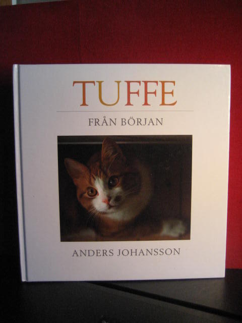 Tuffe fr&aring;n b&ouml;rjan