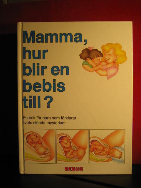 Mamma, hur blir en bebis till? : [en bok för barn som förklarar livets största mysterium]