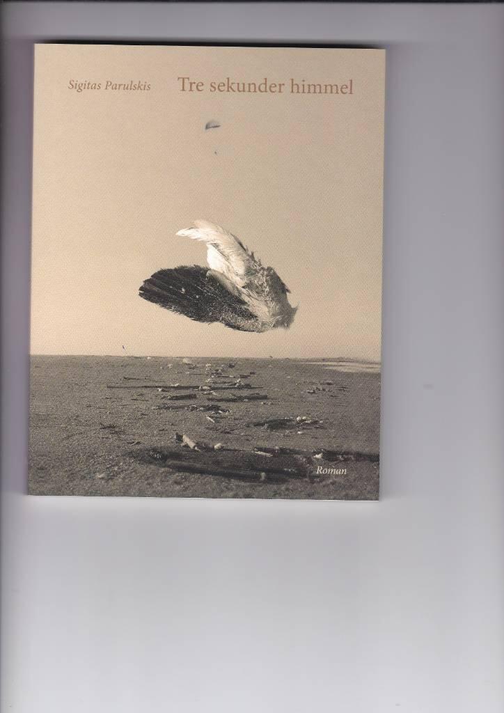 Tre sekunder himmel : roman