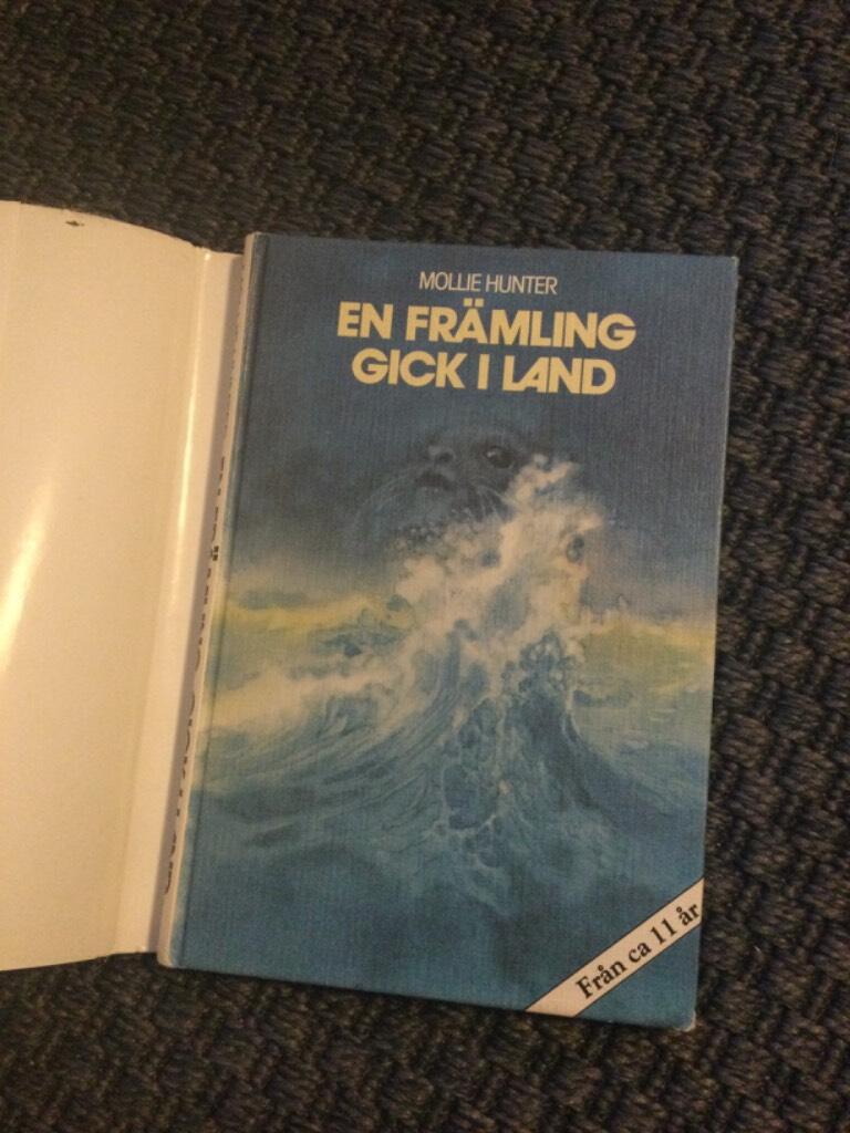 En fr&auml;mling gick i land